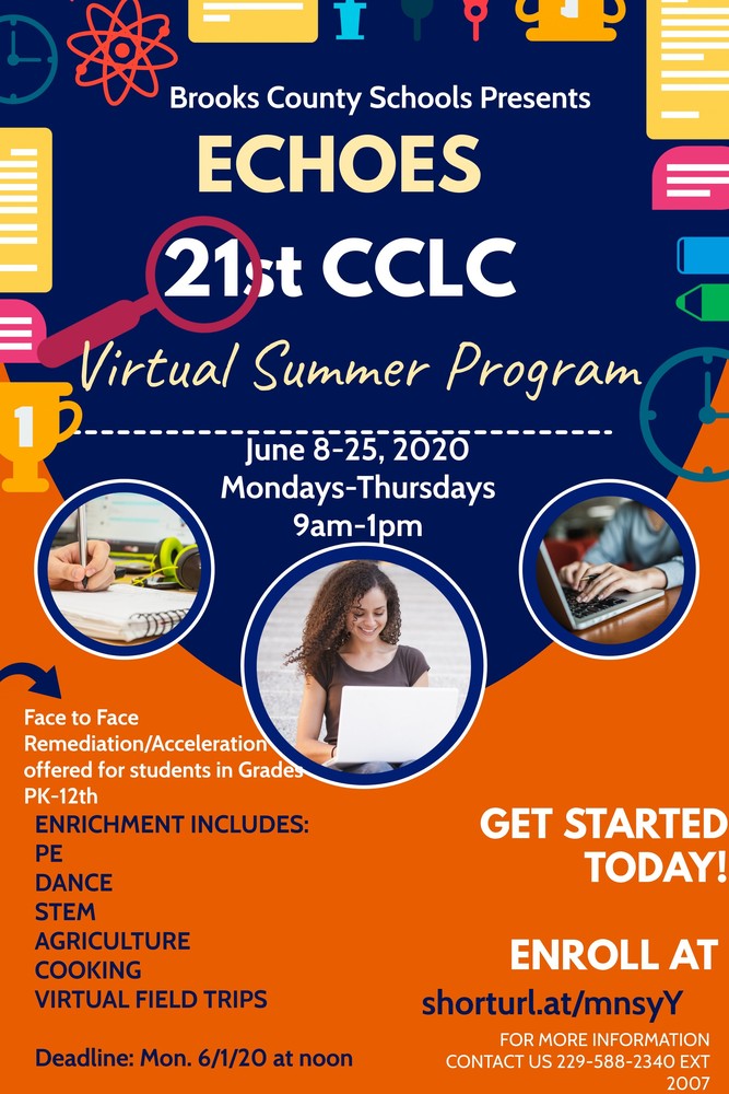 Virtual Summer Program