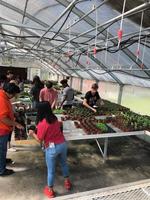 BCHS Agriculture Classes Growing Learners