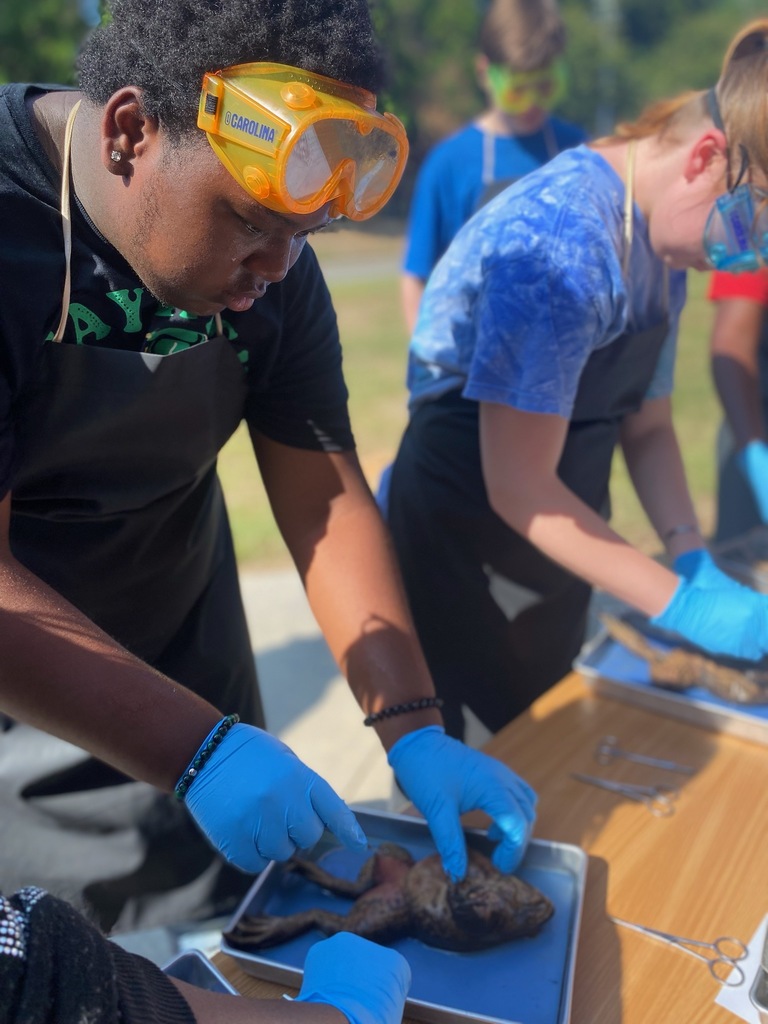 Science dissection 